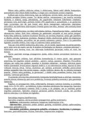 Renginių rinkodaros teorija 6 puslapis