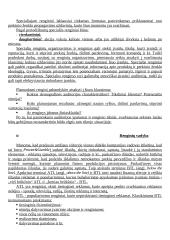 Renginių rinkodaros teorija 7 puslapis