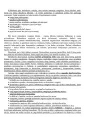 Renginių rinkodaros teorija 8 puslapis