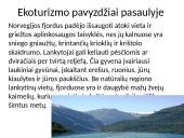 Ekologinės akcijos 11 puslapis