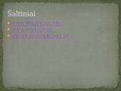 Kryžių kalnas ir vienuolynas prie kalno 19 puslapis