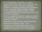 Kryžių kalnas ir vienuolynas prie kalno 9 puslapis