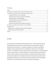 Užsieniečių teisinės padėties reglamentavimas 2 puslapis