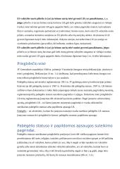 Užsieniečių teisinės padėties reglamentavimas 12 puslapis