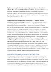 Užsieniečių teisinės padėties reglamentavimas 13 puslapis