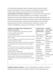 Užsieniečių teisinės padėties reglamentavimas 14 puslapis