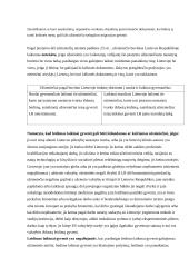 Užsieniečių teisinės padėties reglamentavimas 6 puslapis