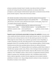 Užsieniečių teisinės padėties reglamentavimas 8 puslapis