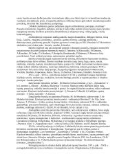 Baroko architektūra ir menas 2 puslapis