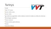 UAB „Vilniaus viešasis transportas" strategijos analizė 2 puslapis