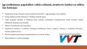 UAB „Vilniaus viešasis transportas" strategijos analizė 8 puslapis