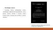 UAB „Vilniaus viešasis transportas" strategijos analizė 9 puslapis