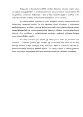 Socialinio darbuotojo asmeninės savybės 3 puslapis