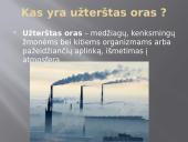 Užterštas oras 2 puslapis