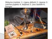 Užterštas oras 11 puslapis