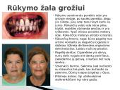 Užterštas oras 14 puslapis