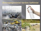 Užterštas oras 5 puslapis