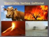 Užterštas oras 6 puslapis