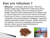 Užterštas oras 8 puslapis