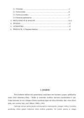 Įstaigos administravimo padalinio sociometrinis tyrimas 2 puslapis