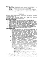 Bendrieji psichiniai procesai 6 puslapis