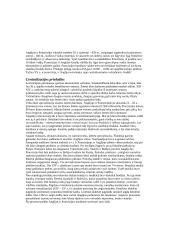 Centralizuotų Anglijos ir Prancūzijos valstybių iškilimas. Luominės monarchijos 2 puslapis