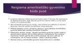 Amerikietiškasis gyvenimo būdas 4 puslapis