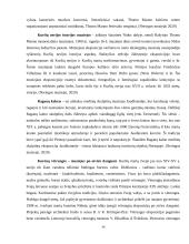 Neringos savivaldybės turizmo potencialo analizė 13 puslapis