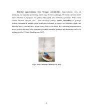 Neringos savivaldybės turizmo potencialo analizė 20 puslapis