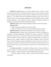 Neringos savivaldybės turizmo potencialo analizė 3 puslapis