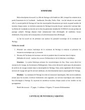 Neringos savivaldybės turizmo potencialo analizė 4 puslapis