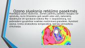 Klimato kaita ir jos padariniai 5 puslapis