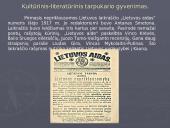 Lietuva tarpukario laikotarpiu (1918-1940) 3 puslapis