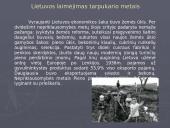 Lietuva tarpukario laikotarpiu (1918-1940) 7 puslapis