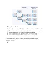 Pasiruošimas viešųjų projektų finansų egzaminui 11 puslapis