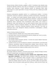 Europos Sąjungos teisės sistemos teorija 5 puslapis