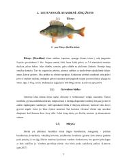 Lietuvoje gyvenančios gėlavandenės žuvys  4 puslapis