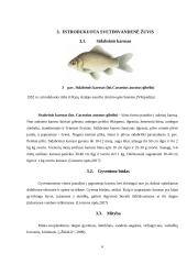 Lietuvoje gyvenančios gėlavandenės žuvys  5 puslapis