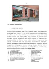 UAB ,,Dartattoo“ verslo planas 10 puslapis