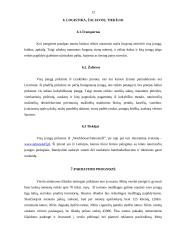 UAB ,,Dartattoo“ verslo planas 11 puslapis