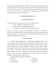 UAB ,,Dartattoo“ verslo planas 12 puslapis