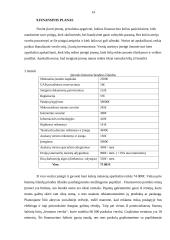 UAB ,,Dartattoo“ verslo planas 13 puslapis