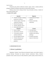 UAB ,,Dartattoo“ verslo planas 4 puslapis