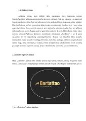 UAB ,,Dartattoo“ verslo planas 6 puslapis