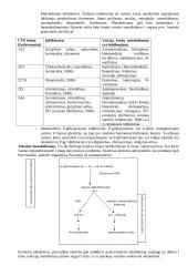 Vaistų eliminacijos procesai 3 puslapis