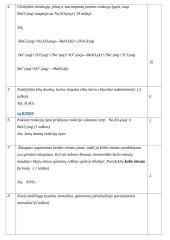 Chemijos pagrindų patikrinimas 8 puslapis
