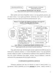 Pagrindiniai feminizmo aspektai 3 puslapis