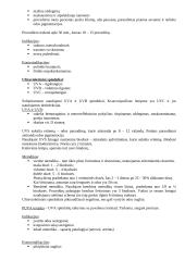 Fizioterapijos mokslas - teorija 7 puslapis