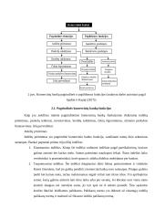 Komercinių bankų veiklos funkcijos 8 puslapis