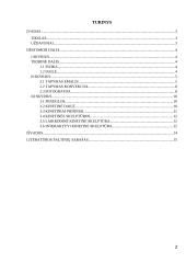 Fizika dailėje, dailė fizikoje 2 puslapis